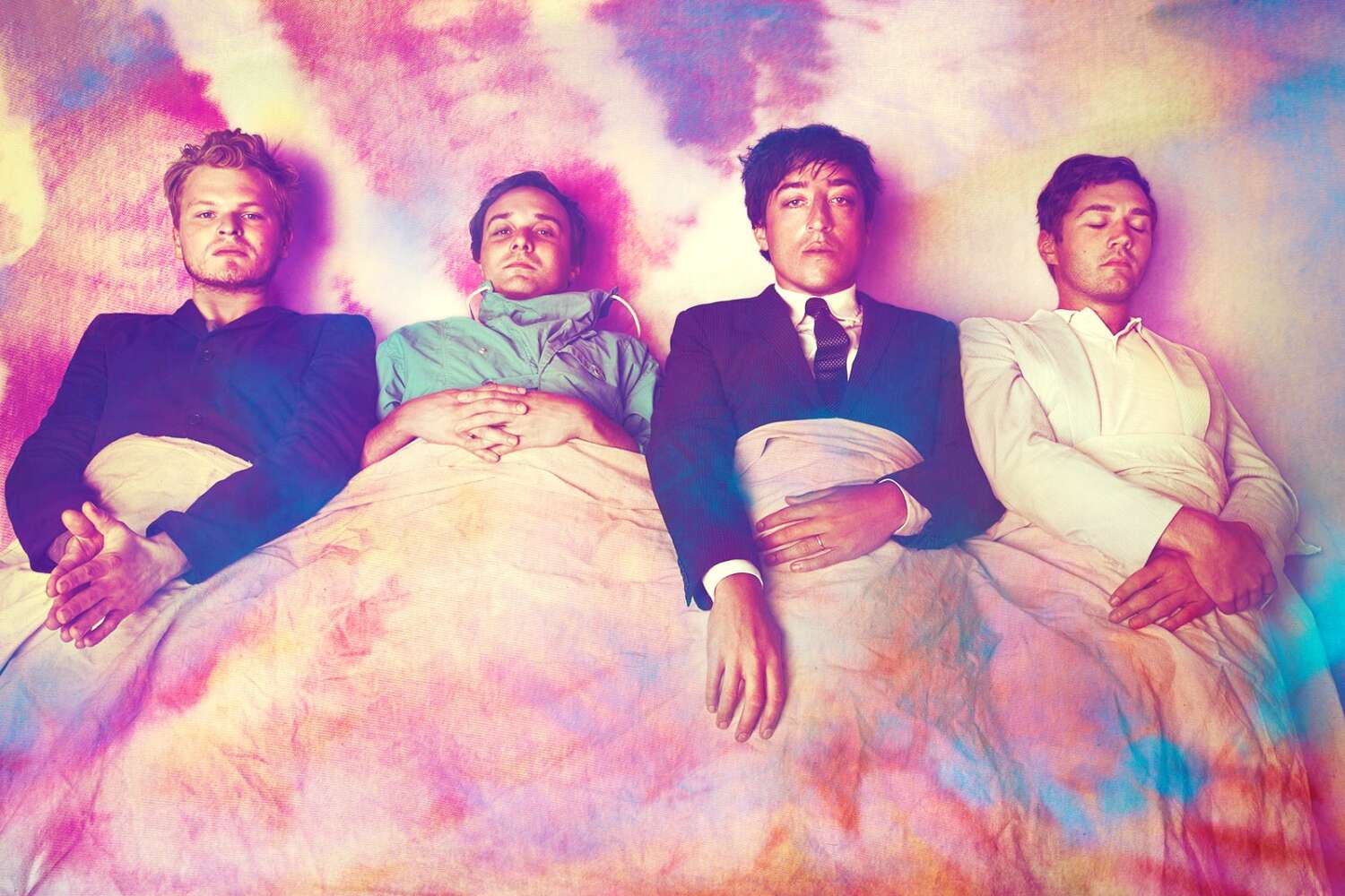 grizzly_bear_band