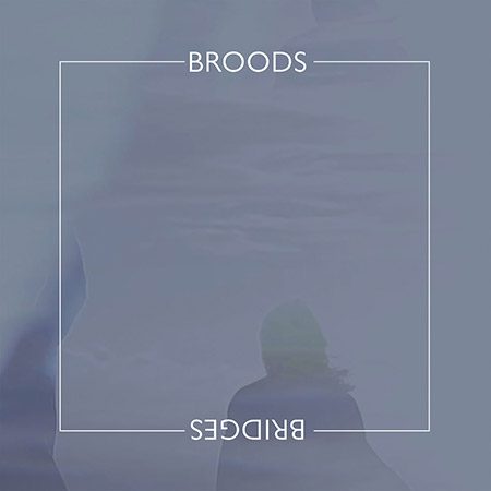 BROODS_bridges