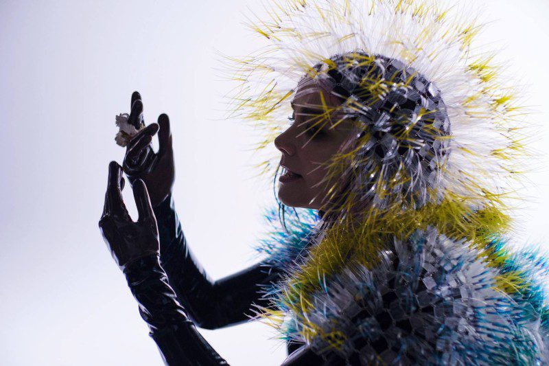 Björk-2015